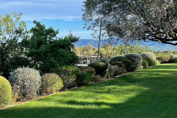 amenagement-exterieur-sanchez-construction-jardin